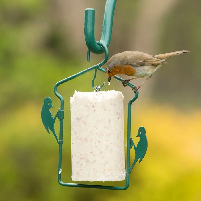 National Trust Gourmet Robin Peanut Cake (500 Ml) 6 National Trust Gourmet Robin Peanut Cake (500 Ml) - Image 4