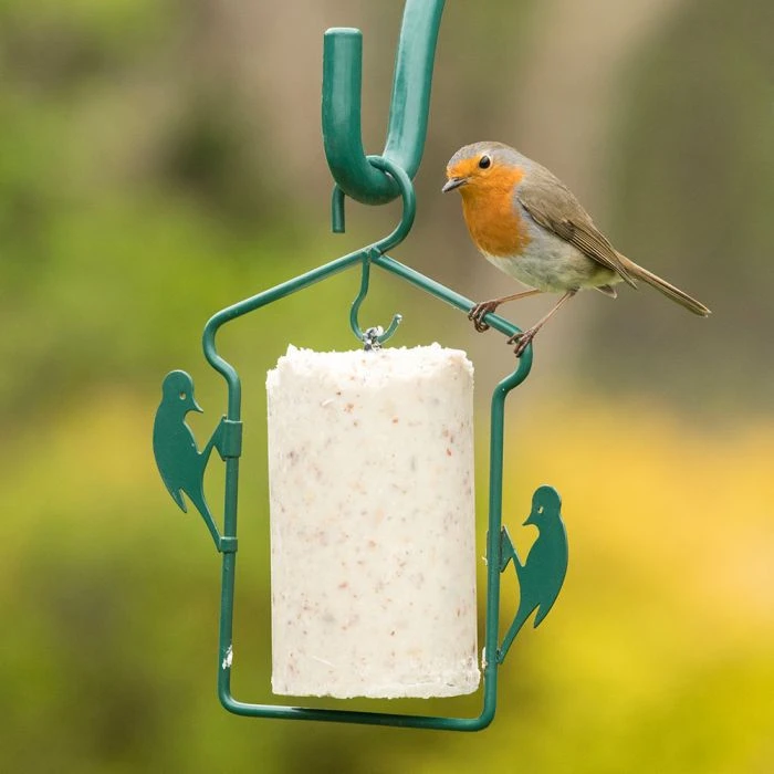 National Trust Gourmet Robin Peanut Cake (500 Ml) 4 National Trust Gourmet Robin Peanut Cake (500 Ml) - Image 2