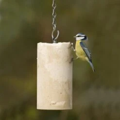 Peanut Cake Tube Original (1 Litre)