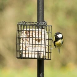 Peanut Cake Square Supreme -Nature Home Sales 10077 03