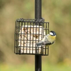 Peanut Cake Square Supreme -Nature Home Sales 10077 04