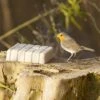Peanut Cake Square With Mealworms -Nature Home Sales 10078 2 1