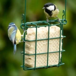 Peanut Cake Square With Mealworms 11 Peanut Cake Square With Mealworms -Nature Home Sales 10078 3