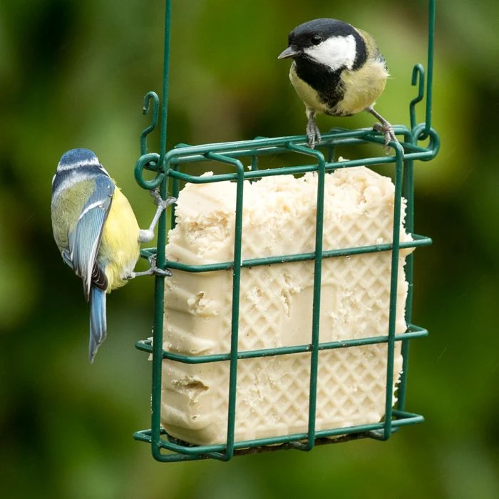 Peanut Cake Square With Mealworms 6 Peanut Cake Square With Mealworms - Image 4