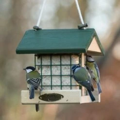 National Trust Insect Peanut Cake 300g -Nature Home Sales 10081 03