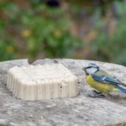 Peanut Cake Squares - Bundle Of 4 -Nature Home Sales 10082 original peanut cake jvg 0156 5 1 2 1