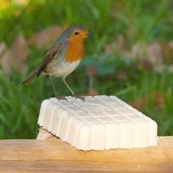 Nature Home Sales -Nature Home Sales 10084 2 1