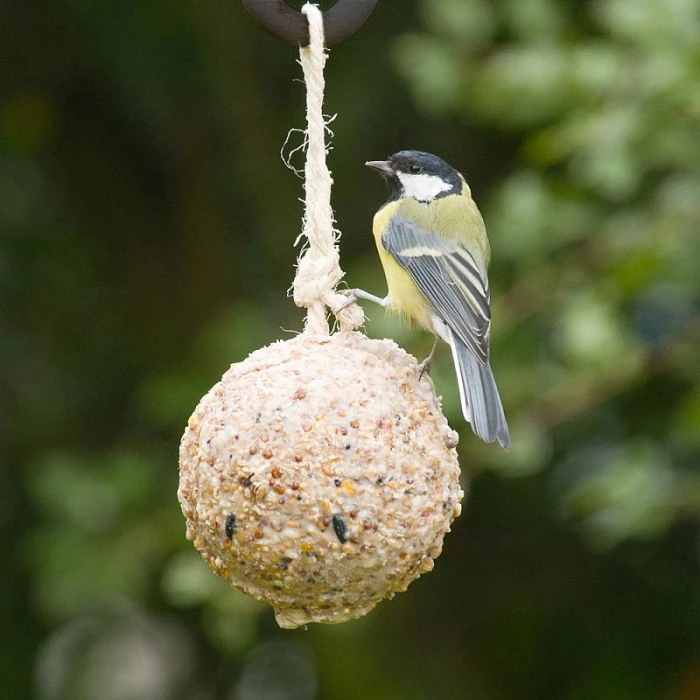 Giant Fat Ball On A Rope - Insects 3 Giant Fat Ball On A Rope - Insects