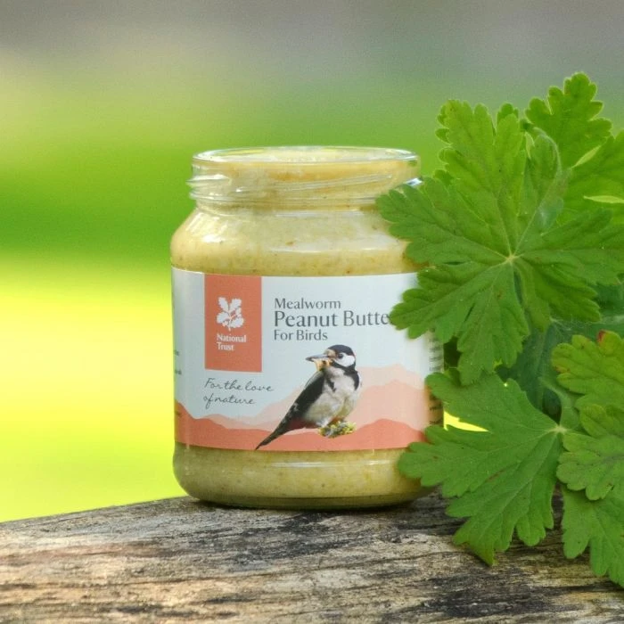 National Trust Mealworm Peanut Butter For Birds 3 National Trust Mealworm Peanut Butter For Birds