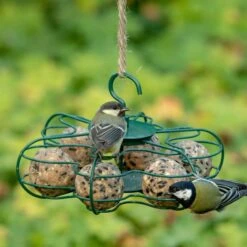 National Trust Ultimate Fat Balls 30 Pack 11 National Trust Ultimate Fat Balls 30 Pack -Nature Home Sales 10276 6 1