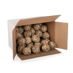 Box Of 50 Ultimate Fat Balls -Nature Home Sales 10278 02