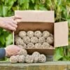 Box Of 50 Ultimate Fat Balls -Nature Home Sales 10278 4