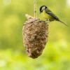 Peanut Butter Filled Pine Cone For Birds -Nature Home Sales 10280 3