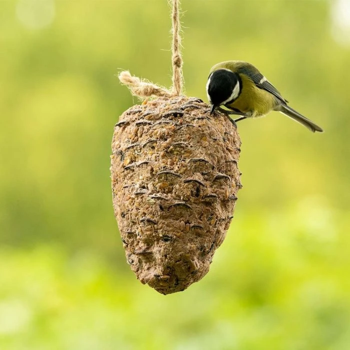 Peanut Butter Filled Pine Cone For Birds 4 Peanut Butter Filled Pine Cone For Birds - Image 2