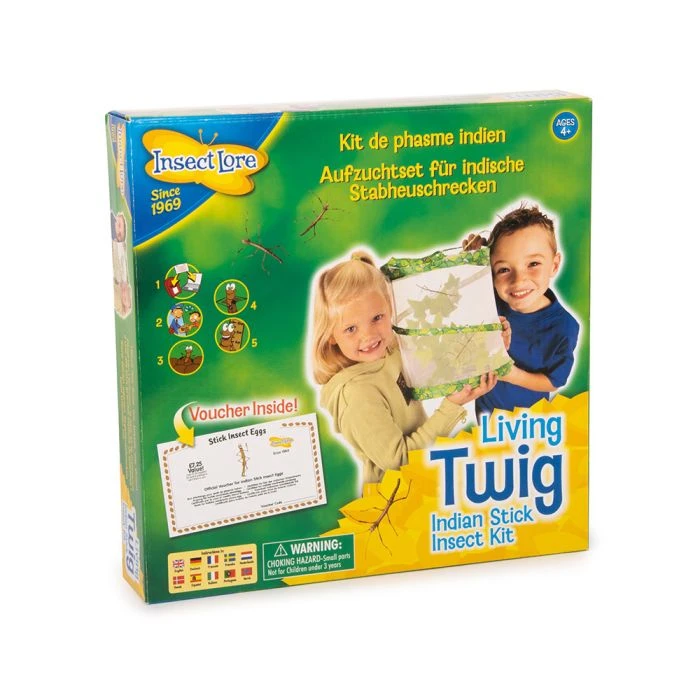 Living Twig Stick Insect Kit 3 Living Twig Stick Insect Kit