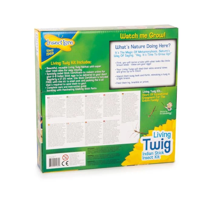 Living Twig Stick Insect Kit 4 Living Twig Stick Insect Kit - Image 2