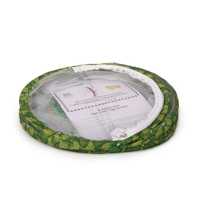 Living Twig Stick Insect Kit 7 Living Twig Stick Insect Kit - Image 5