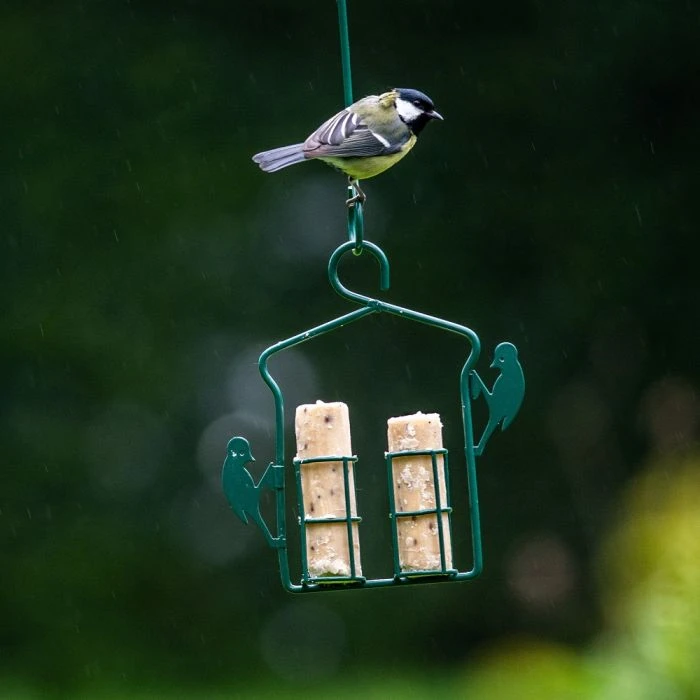 Energy Rolls With Insect Fat - 6 Pack 3 Energy Rolls With Insect Fat - 6 Pack