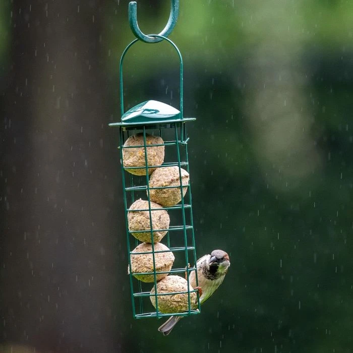 Fat Balls With Insect Fat - 6 Pack 3 Fat Balls With Insect Fat - 6 Pack