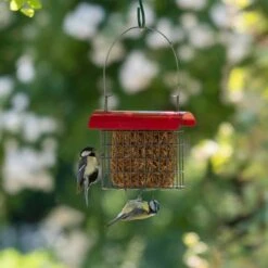 Dried Mealworm Square For Birds 90g -Nature Home Sales 106640119 qm 6703