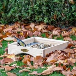 Kandava Ground Bird Feeding Table
