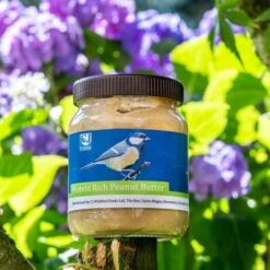 Protein Rich Peanut Butter For Birds - Bundle Of 4 -Nature Home Sales 111730111 protein rich peanut butter sw sem low res 8632