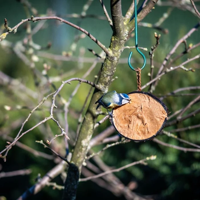 Half Coconut With Protein Rich Peanut Butter 4 Half Coconut With Protein Rich Peanut Butter - Image 2