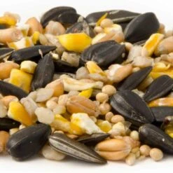 National Trust Garden Bird Table Seed 11 National Trust Garden Bird Table Seed -Nature Home Sales 13005