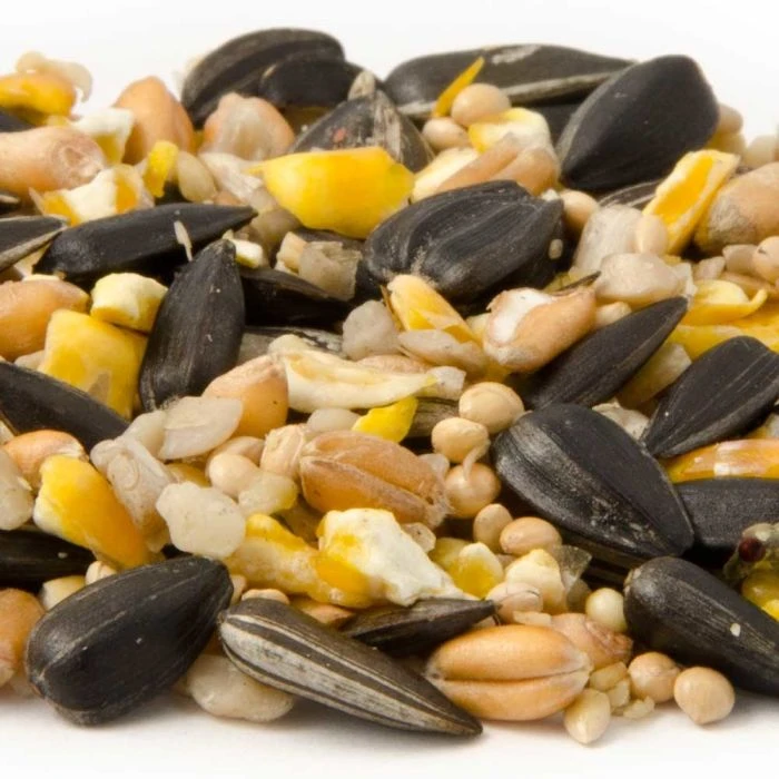 National Trust Garden Bird Table Seed 7 National Trust Garden Bird Table Seed - Image 5