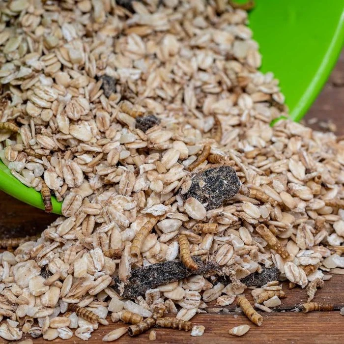 Muesli With Mealworms (2.5kg) 3 Muesli With Mealworms (2.5kg)