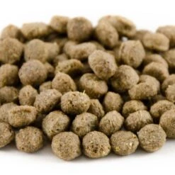 National Trust Kids Duck & Swan Food -Nature Home Sales 16002 4