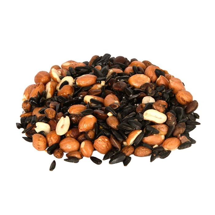 Squirrel Food 4 Squirrel Food - Image 2