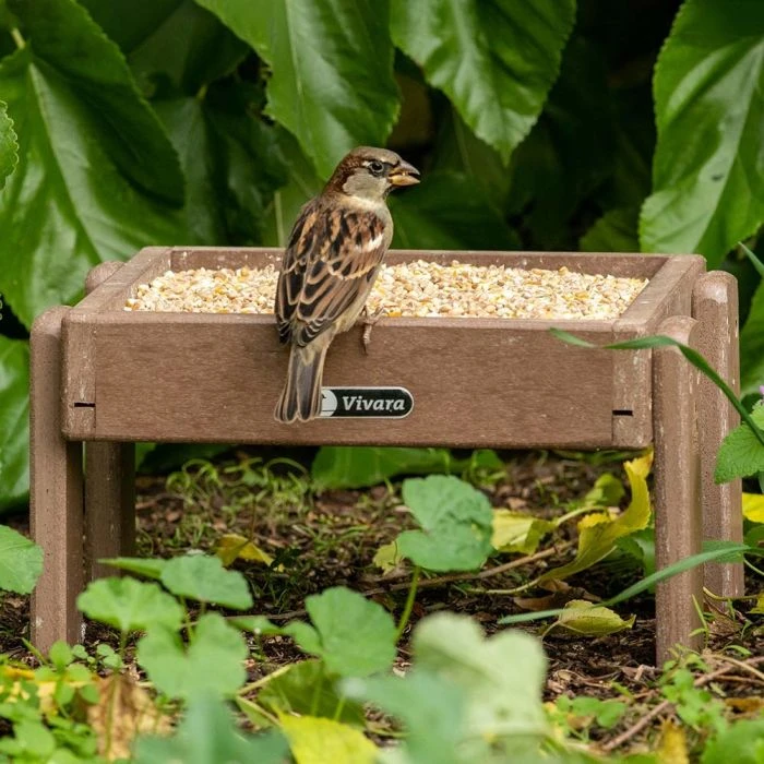 Mixed Corn For Larger Ground Feeding Birds 4 Mixed Corn For Larger Ground Feeding Birds - Image 2