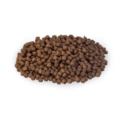 Premium Hedgehog Food 12 Premium Hedgehog Food -Nature Home Sales 190340120 jvg 3749 2 1
