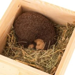 Hedgehog Bedding 500g 8 Hedgehog Bedding 500g -Nature Home Sales 19056