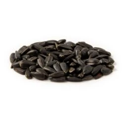 Organic Black Sunflower Seeds 2.5kg - Bird Food -Nature Home Sales 23004 zwarte zonnebloempitten es 1