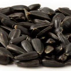 Organic Black Sunflower Seeds 2.5kg - Bird Food -Nature Home Sales 23005 1