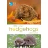 RSPB Spotlight: Hedgehogs Book 2 RSPB Spotlight: Hedgehogs Book -Nature Home Sales 2950086