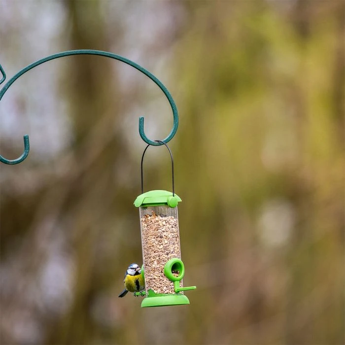 National Trust Kids Robin & Blackbird Mix 5 National Trust Kids Robin & Blackbird Mix - Image 3