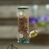 Discovery Plastic Peanut Window Feeder