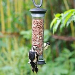 Premium Whole Peanuts - Bird Food -Nature Home Sales 30095
