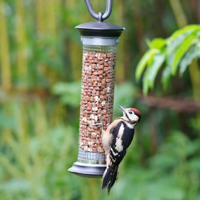 National Trust Apollo Peanut Feeder 5 National Trust Apollo Peanut Feeder - Image 3