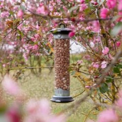 National Trust Premium Peanuts For Birds -Nature Home Sales 300950119 apollo peanut feeder 200450120 premium whole peanuts dv 0742 2