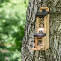 Gabriola Double Squirrel Feeder