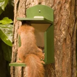 Alberni Squirrel Feeder -Nature Home Sales 30305 2 2