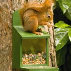 Alberni Squirrel Feeder -Nature Home Sales 30305 4 2