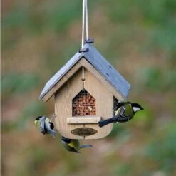 Premium Whole Peanuts - Bird Food -Nature Home Sales 30400 5