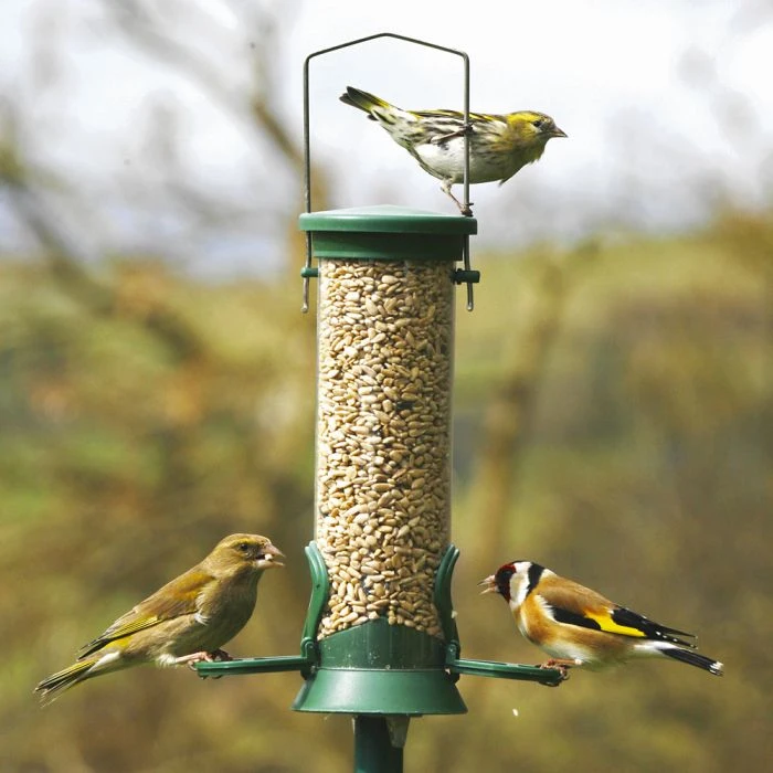 National Trust 2 Port Plastic Seed Feeder 3 National Trust 2 Port Plastic Seed Feeder