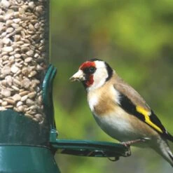 National Trust 2 Port Metal Seed Feeder -Nature Home Sales 31030 2