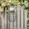 LONA Peanut Butter Feeder Guardian V1, Oval -Nature Home Sales 310480119 lona feeding cage v1 oval angy low res 0851
